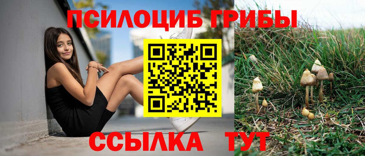 Тула  Псилоцибиновые грибы MAGIC MUSHROOMS  Вход с VPN 