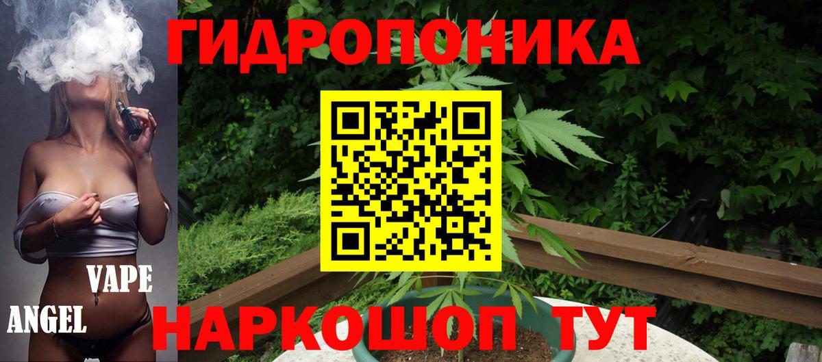 Шишки марихуана OG Kush  Марихуана план  Вход с VPN  Шишки марихуана VHQ  Тула  Марихуана планчик 