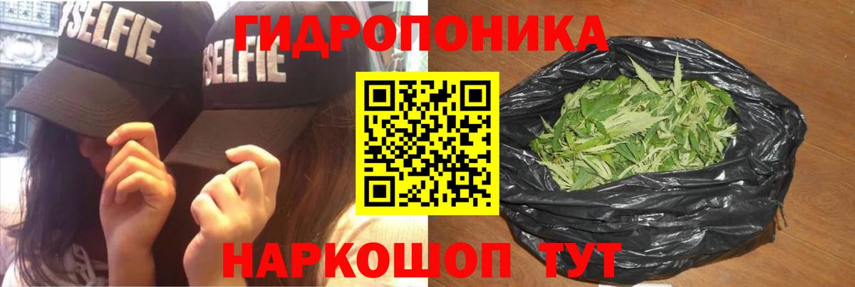Конопля Тула